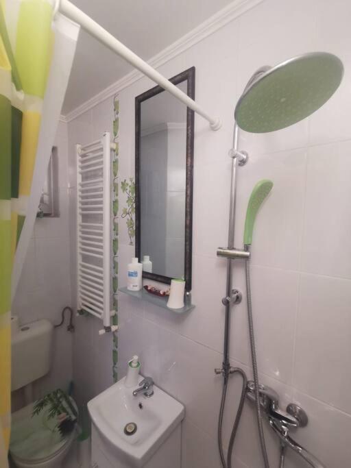 Tth Apartament Leilighet Timişoara Eksteriør bilde